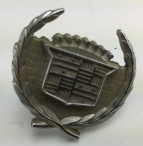 1966 1967 Cadillac Fleetwood Brougham Roof Side Emblem  USED Free Shipping In The USA