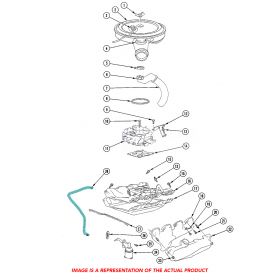 1980 1981 1982 1983 1984 Cadillac (368 Engines EXCEPT Fuel Injection) Fuel Pump to Carburetor Line (Stainless Steel or Original Equipment Design) REPRODUCTION Free Shipping In The USA