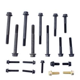 1963 1964 Cadillac Engine Front Timing Cover Bolt Kit (See Details) Original Style Set (19 Bolts) REPRODUCTION Free Shipping In The USA